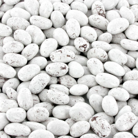 Dragées Pralissimo Amande grillée, chocolat noir et praliné BLANC - 1kg
