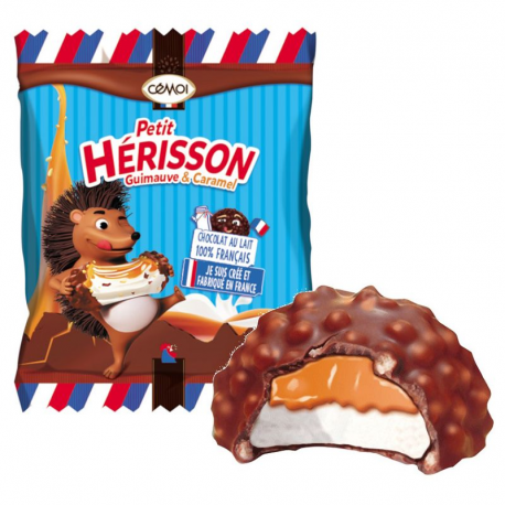 ~Hérissons chocolat ** sous cello ** - boîte de 80