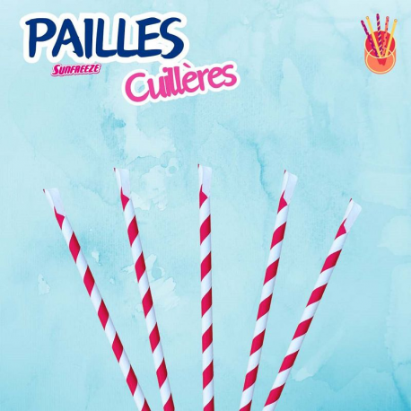 Pailles cuillères à granité en carton - sachet de 100
