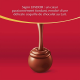 ~Lindt Sapins Lindor 37g - H: 13cm