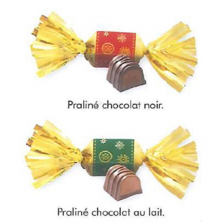 Papillotes praliné chocolat lait et noir assortis sachet 840g
