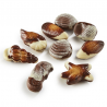 ~Fruits de mer vrac 3,5kg fourrés praliné Ickx