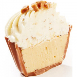 Chocolats Cupcakes lait fourrés crème Fudge salé vrac kg