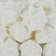 Meringues Blanches barquettes 100g