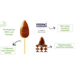 Etui 10 sucettes caramel Pierrot Gourmand (bâtonnet bois)