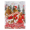 ~Calendrier de l'Avent Hommes SexyXmas - 75g