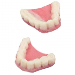 Dentiers gélifiés lisses bitexturés Kg Dulceplus