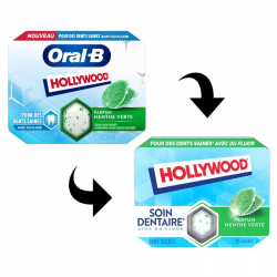 Hollywood Etui Soin Dentaire Menthe verte