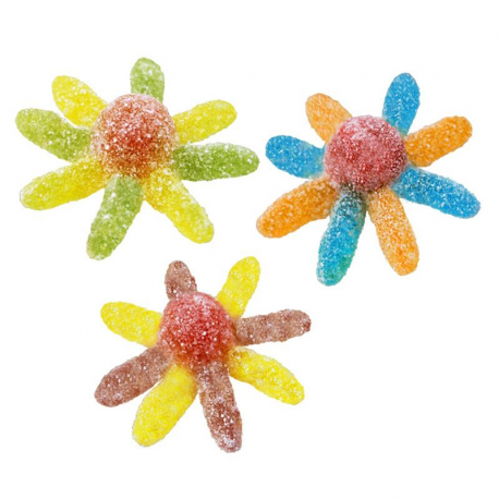 Poulpes acides 1Kg Jake