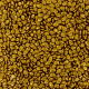 Grains de café en chocolat noir dorés vrac kg