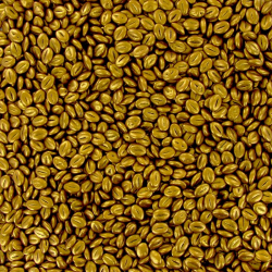 Grains de café en chocolat noir dorés vrac kg