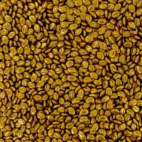 Grains de café en chocolat noir dorés vrac kg