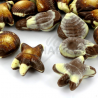 Fruits de mer pralinés boîte 250g Hamlet