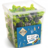 ~Petits Lapins au lait croustillants emballés 1.25Kg Révillon
