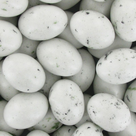 Oeufs de mouettes fondants praliné kg