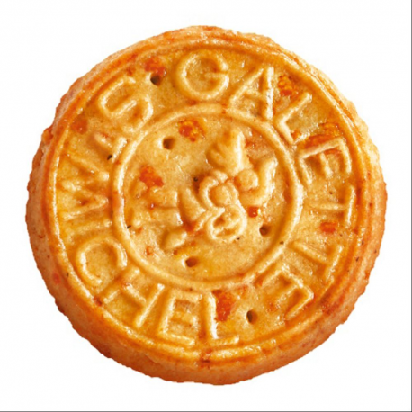 Mini galettes comté St Michel 100g