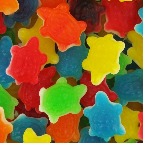 Tortues gélifiées lisses kg Dulceplus