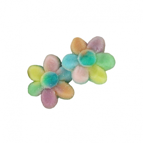 Fleurs multicolore sucrées kg Dulceplus