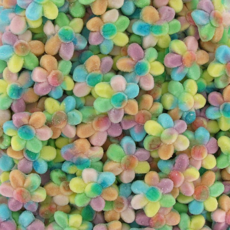 Fleurs multicolore sucrées kg Dulceplus