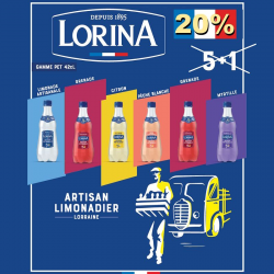 Colis Lorina Limonade artisanale Promo 6 packs