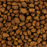 Chouchous - cacahuètes caramélisées kg