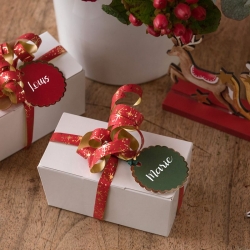 Ballotins carton vides blanc uni 250g par 25