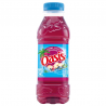 Oasis pomme cassis framboise Pet 50cl