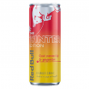 Red Bull Winter Edition Pomme Fuji Gingembre 25cl