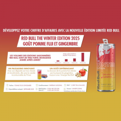 Red Bull Winter Edition Pomme Fuji Gingembre 25cl