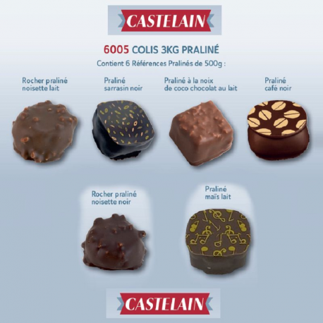 ~Colis 3kg chocolat artisanal (6x500g) pralinés Castelain