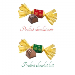 Papillotes praliné chocolat lait et noir assortis sachet 840g