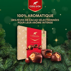 Côte d'or selection coffret 135g