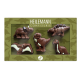 Coffret Dinosaures - 100g