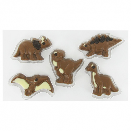 Coffret Dinosaures - 100g