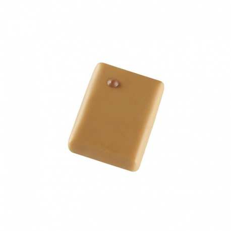 Promesse praliné noisette Valrhona - chocolat dulcey 1kg