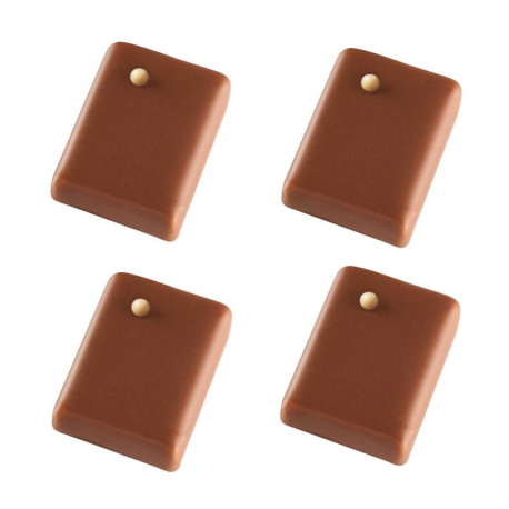 Promesse praliné pécan Valrhona- chocolat au lait 1kg