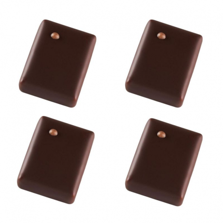 Promesse praliné amande Valrhona - chocolat noir 1kg