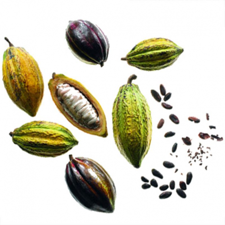 Sensation abinao Valrhona - chocolat ganache 2kg