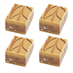 Rinette dulcey Varhona - chocolat praliné 2kg