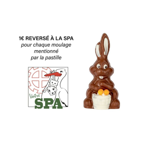 ~Moulage farceur chocolat lait 260g