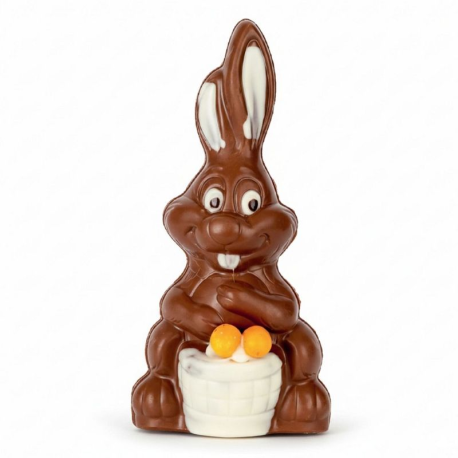~Moulage farceur chocolat lait 260g