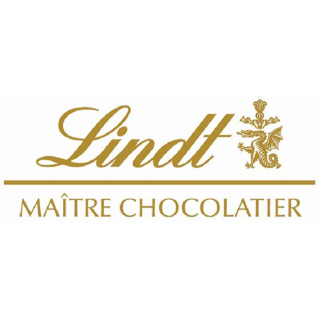 PRECOMMANDE Lindt boîte décor Noël 469g