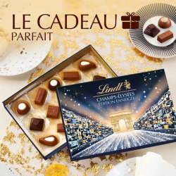 Lindt boîte champs Elysées Edition enneigée 161g